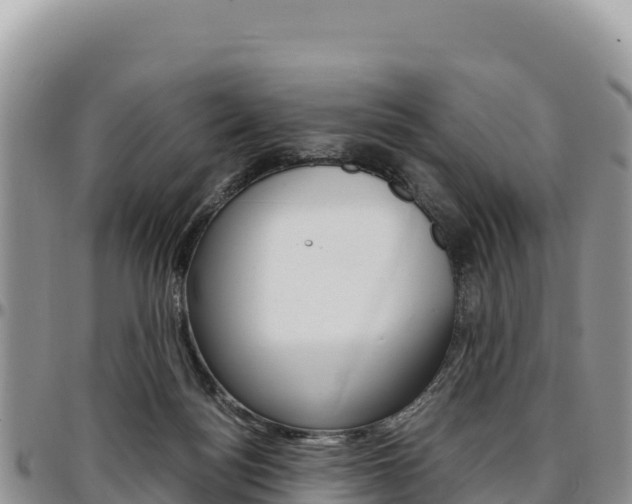 X0000097300172200802151131