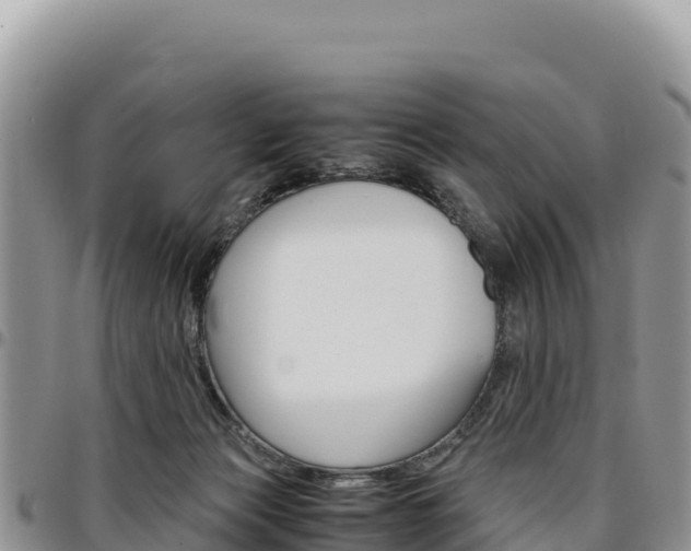 X0000097300173200802151131