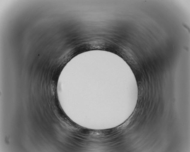 X0000097300174200802151131