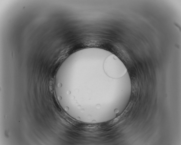X0000097300175200802151131