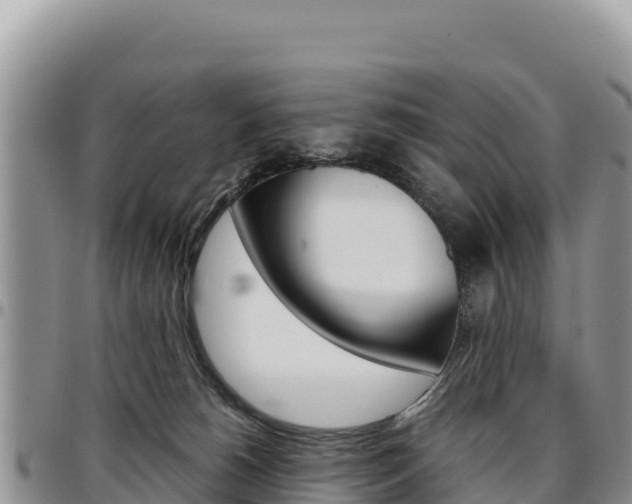 X0000097300180200802151131