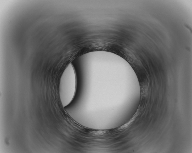 X0000097300182200802151131