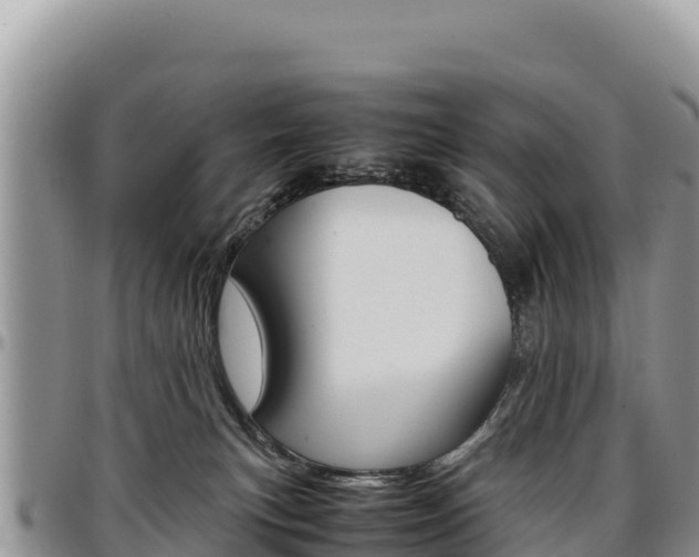 X0000097300183200802151131