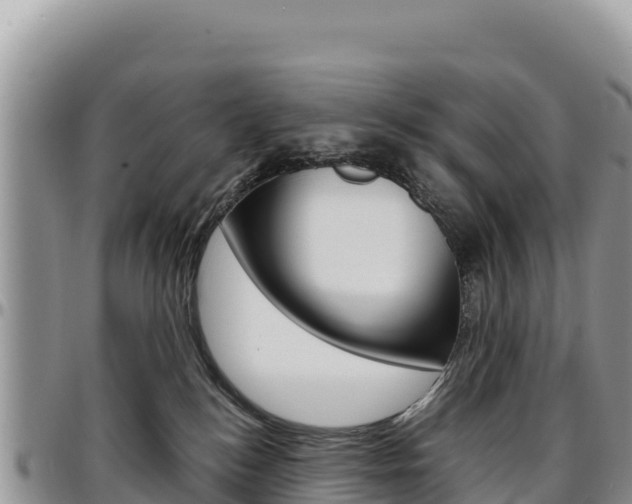 X0000097300184200802151131