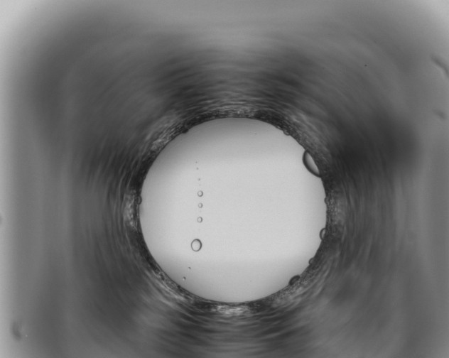 X0000097300185200802151131