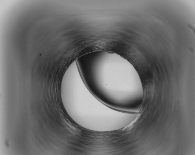X0000097300186200802151131