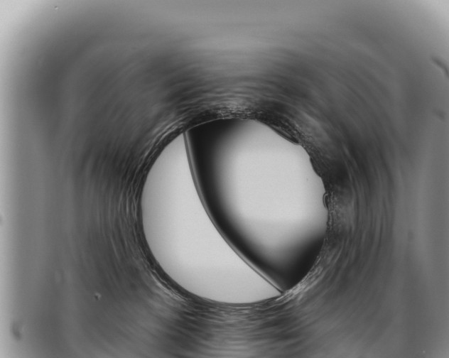 X0000097300188200802151131