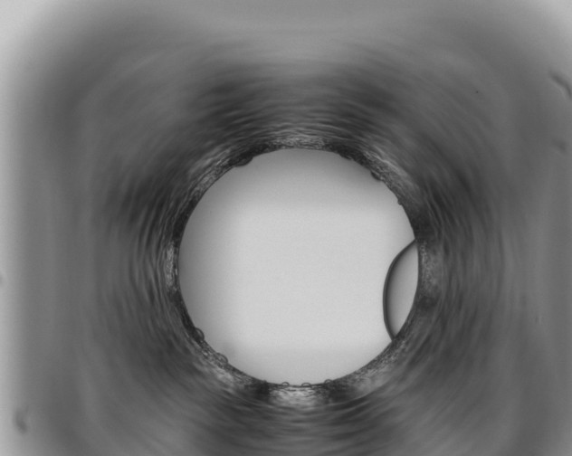 X0000097300189200802151131
