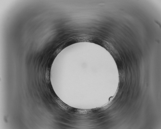 X0000097300190200802151131
