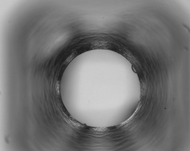 X0000097300191200802151131