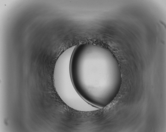 X0000097300192200802151131
