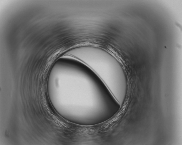 X0000097300193200802151130