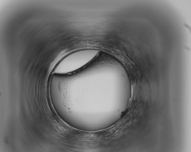 X0000097300195200802151130