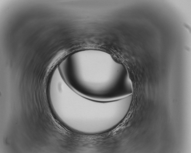 X0000097300197200802151130