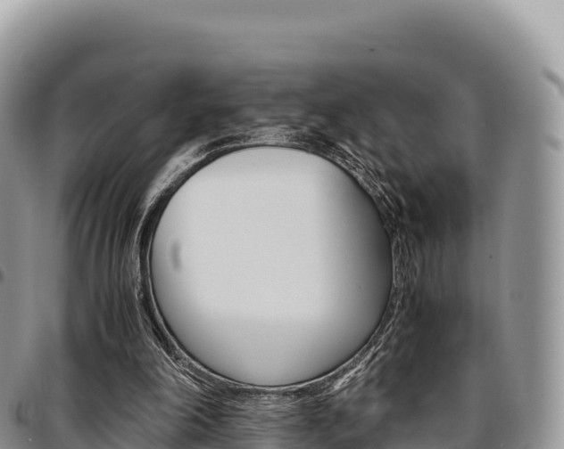 X0000097300198200802151130