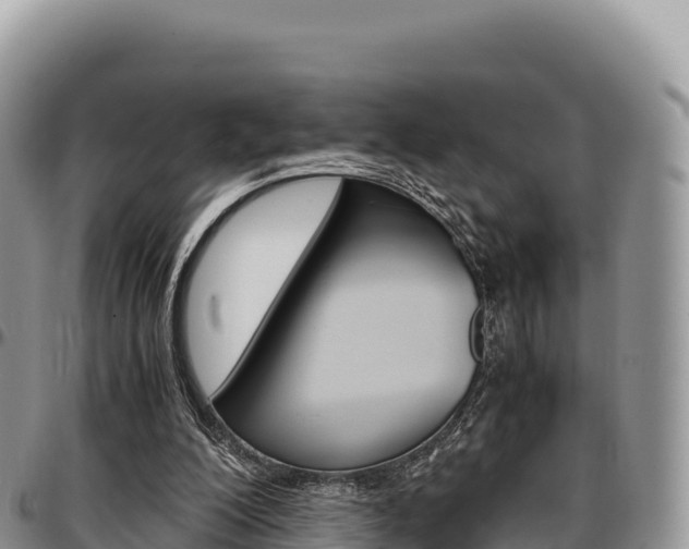 X0000097300200200802151130