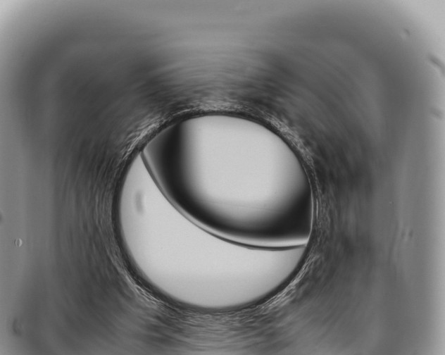 X0000097300201200802151130