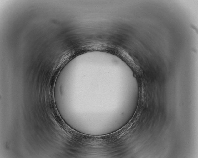 X0000097300202200802151130