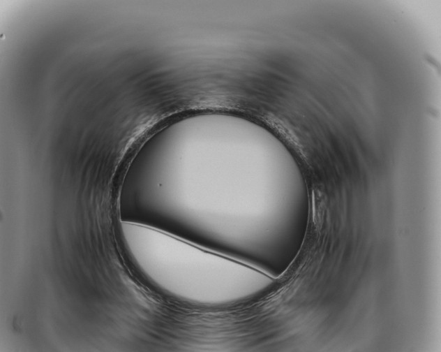 X0000097300204200802151130