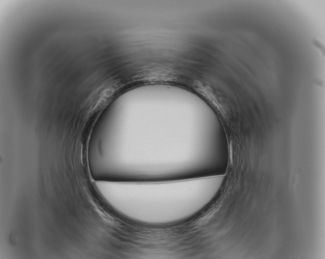 X0000097300205200802151130