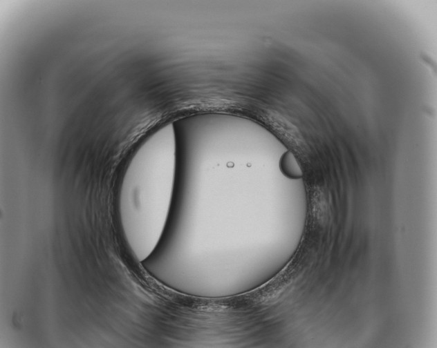 X0000097300206200802151130