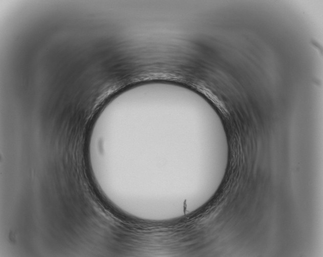 X0000097300207200802151130