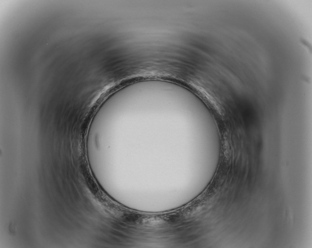 X0000097300208200802151130