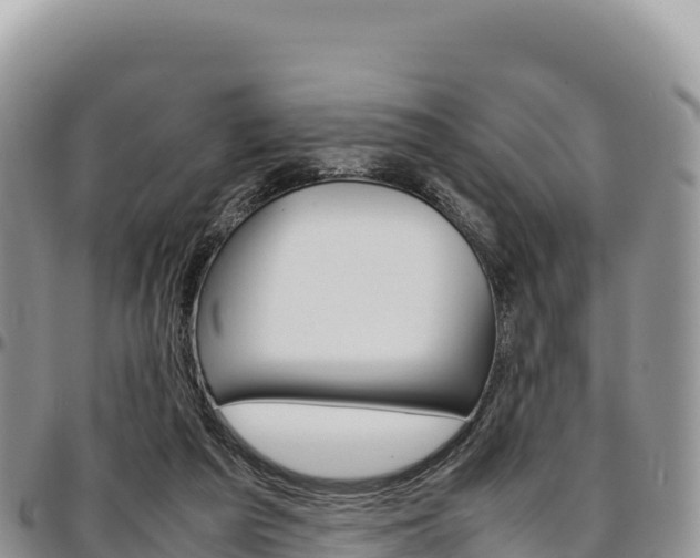 X0000097300209200802151130