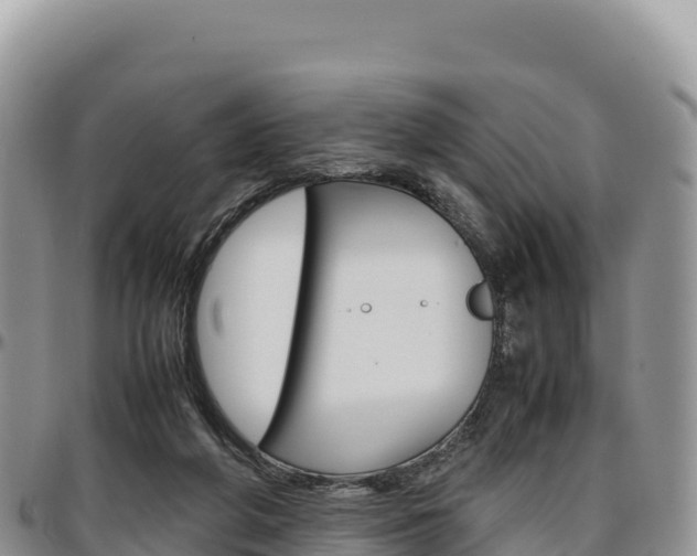 X0000097300210200802151130