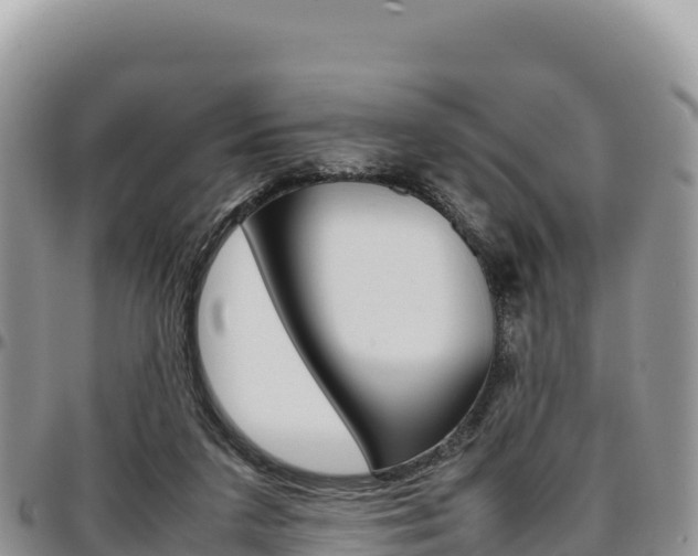 X0000097300211200802151130