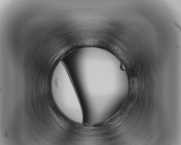 X0000097300212200802151130