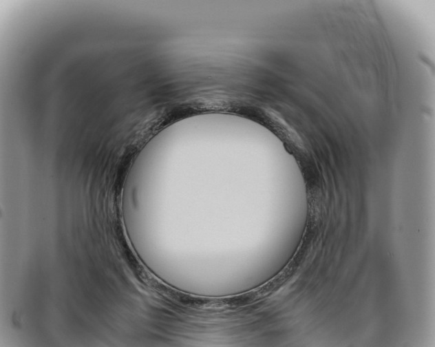 X0000097300213200802151130