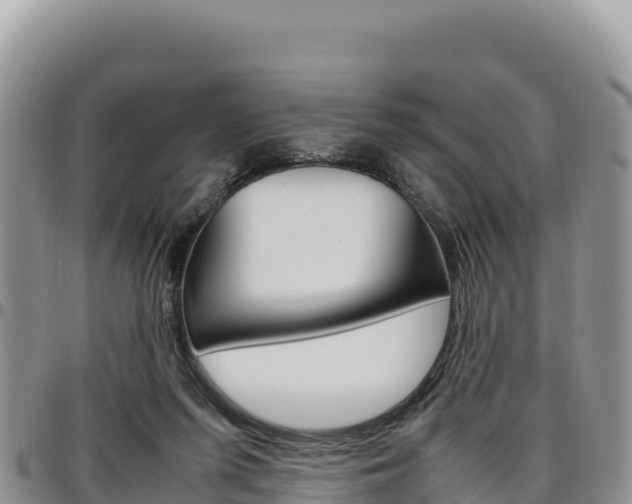 X0000097300215200802151130