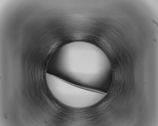 X0000097300216200802151130