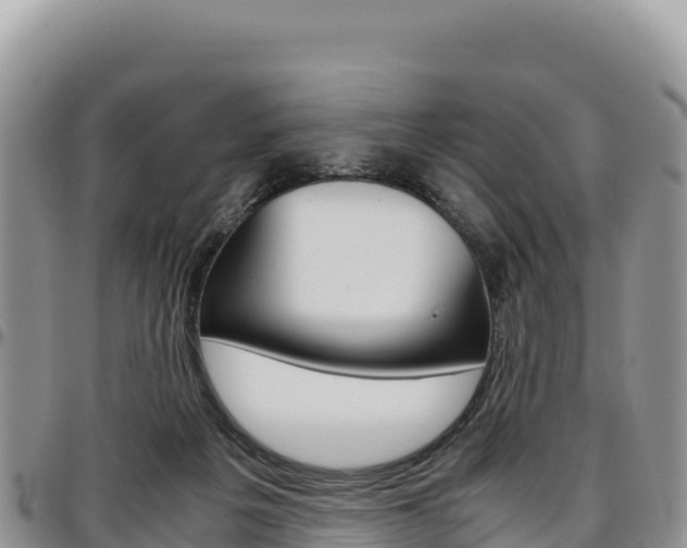 X0000097300217200802151130