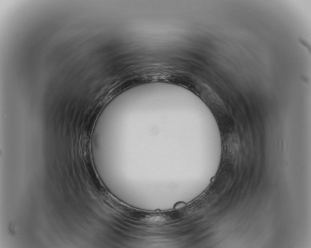 X0000097300218200802151130