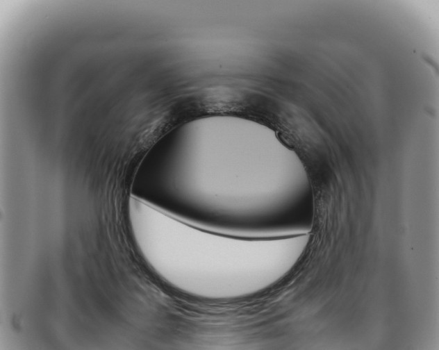 X0000097300219200802151130