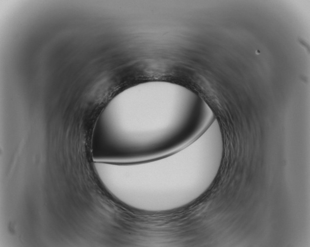 X0000097300221200802151130