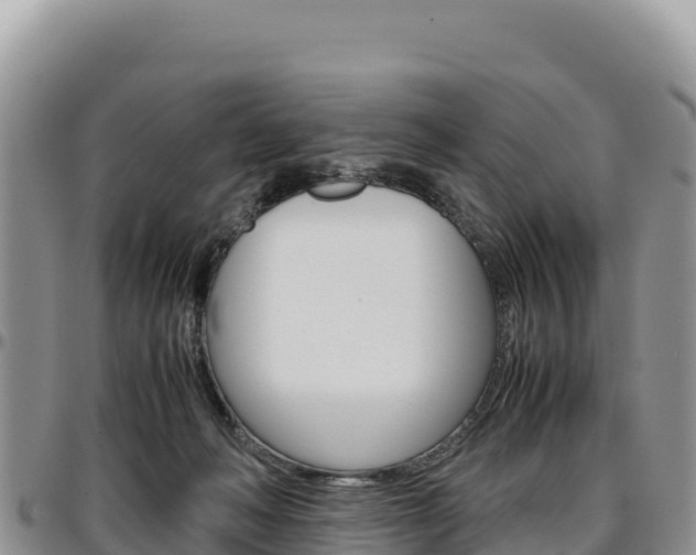 X0000097300222200802151130