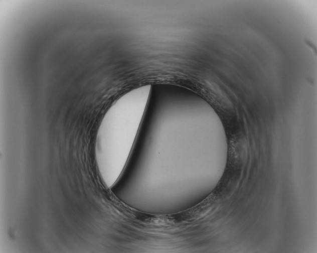 X0000097300223200802151130