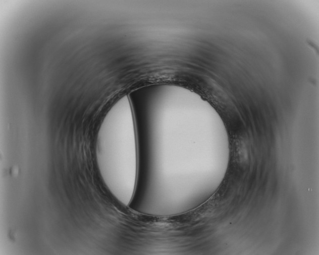 X0000097300224200802151130