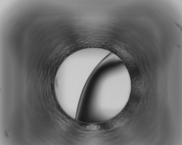 X0000097300225200802151130