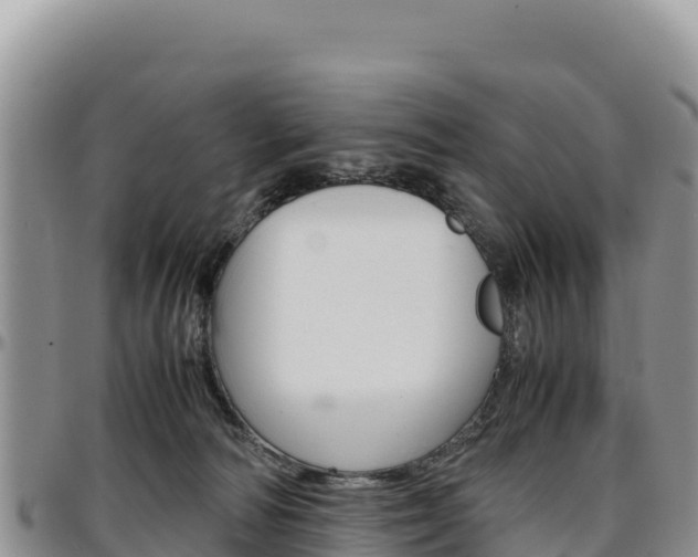 X0000097300226200802151130