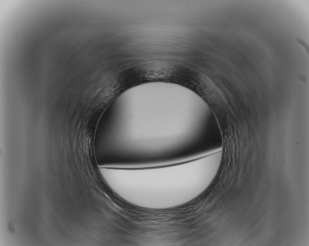 X0000097300227200802151130