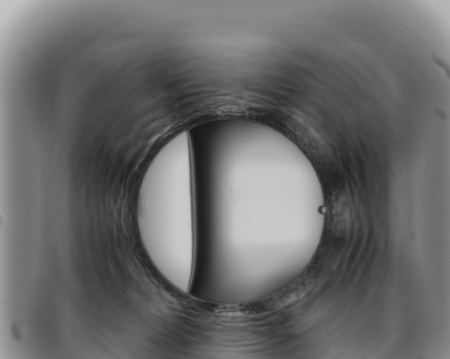 X0000097300228200802151130