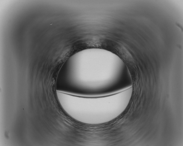 X0000097300229200802151130