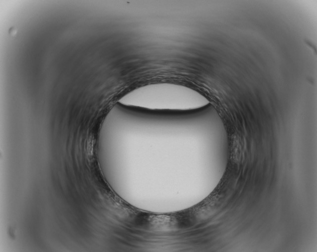 X0000097300230200802151130
