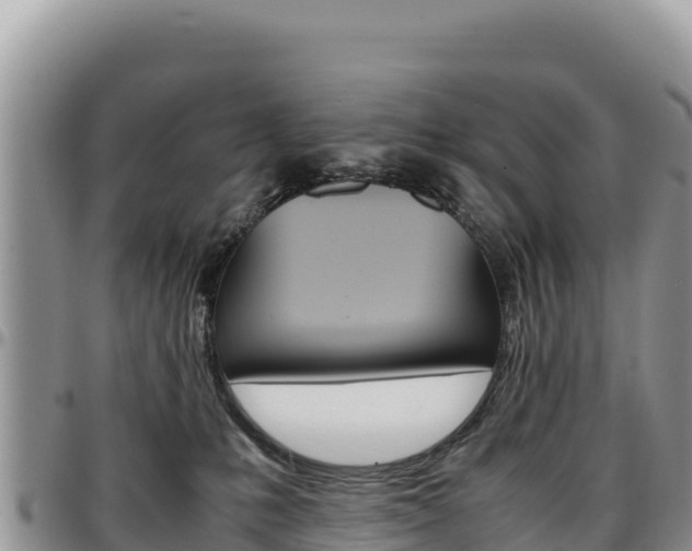 X0000097300231200802151130