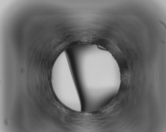 X0000097300233200802151130
