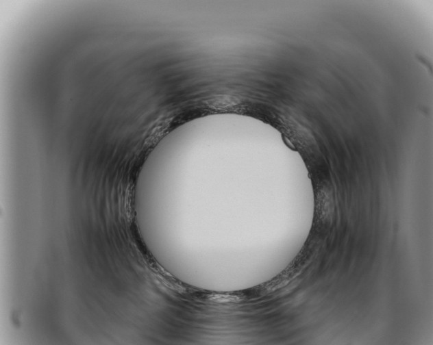 X0000097300234200802151130
